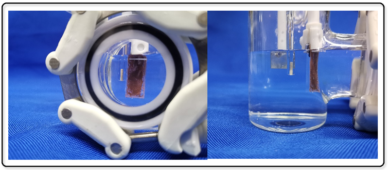 Photoelectrocatalytic Three-Electrode Reaction System.png