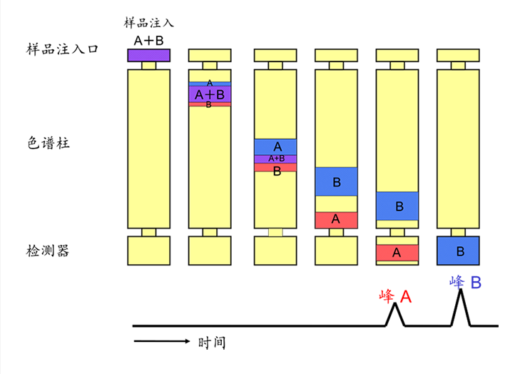 Analysis Process of a Gas Chromatograph 3.png