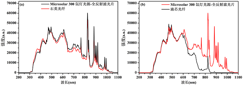 Xenon Lamp Light Source Fiber Optics 1.jpg