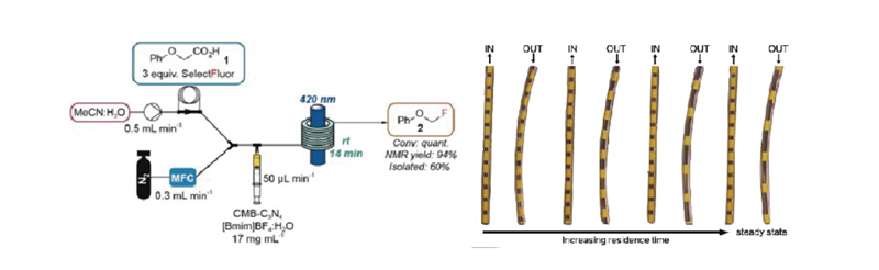 Factors Influencing Photochemical Synthesis Reactions.jpg