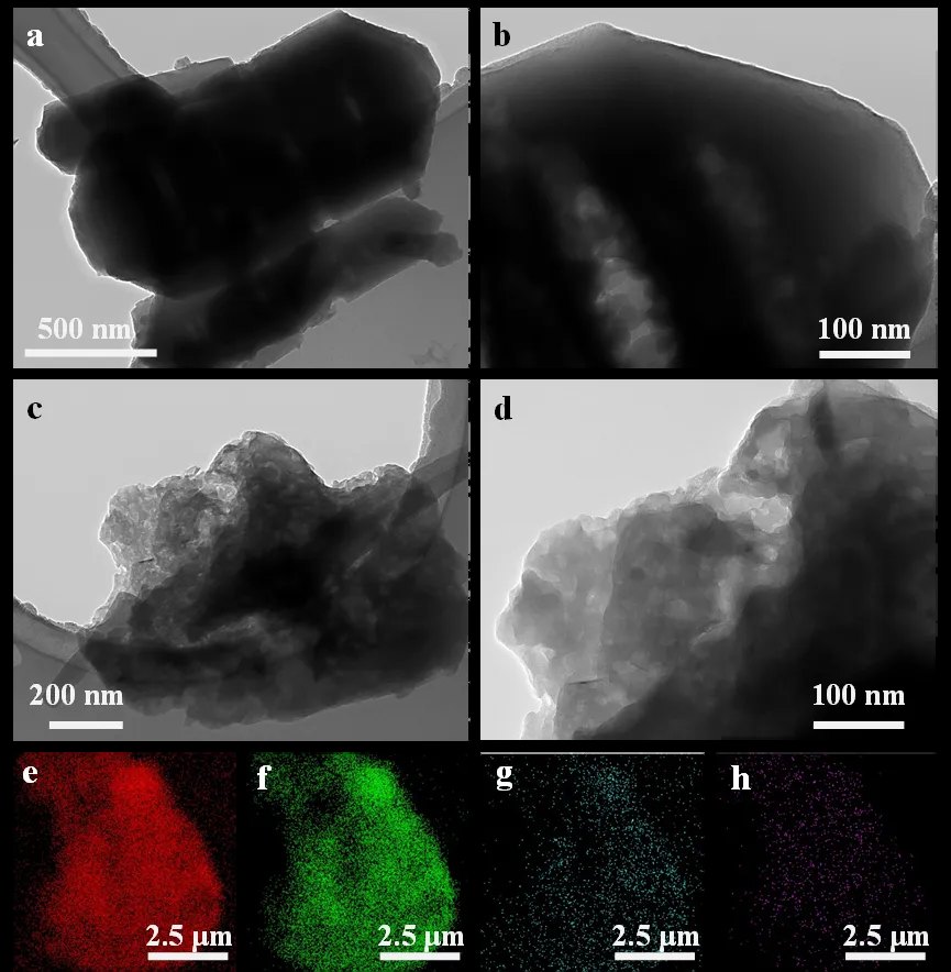 Microscopy characterization