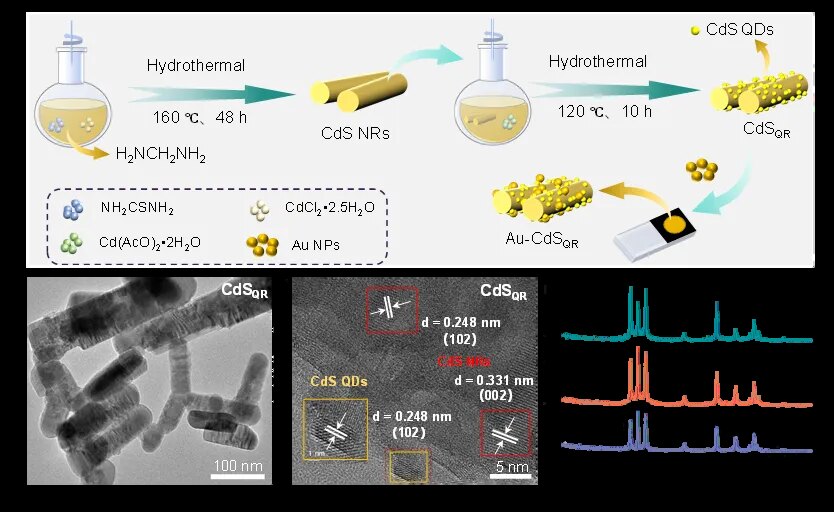 Synthesis route and structural characterisation of Au-CdSQR photoelectrode material