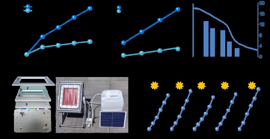 Photoelectrochemical and spectroscopic evidence for charge separation