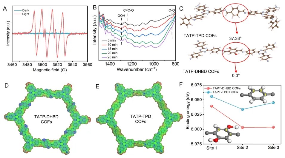 Mechanistic characterization and structural analysis