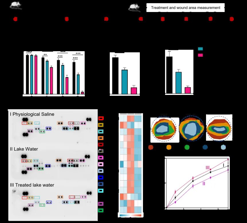 Biological response and application-related evidence