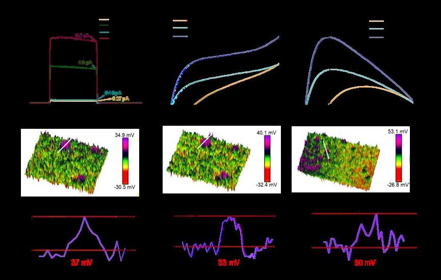 Photoresponse and surface-potential characterization
