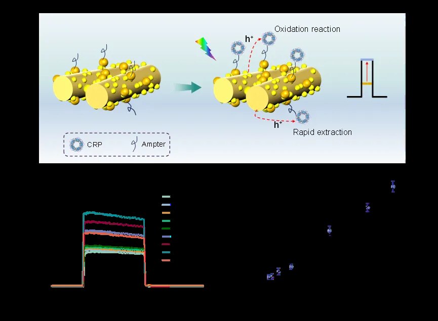 CRP sensing and analytical performance