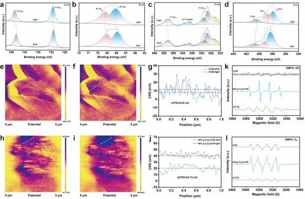 Spectroscopic and photoresponse evidence